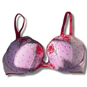 Victoria’s Secret 34D Push Up Bra Pink Red Floral Embroidered Lace Sexy Lingerie